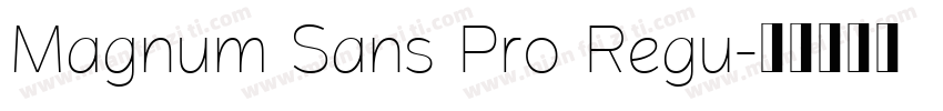 Magnum Sans Pro Regu字体转换